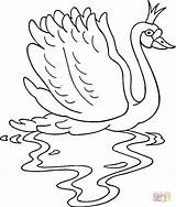 Swan Coloring Pages Princess Lake Swans Color Printable Online Clipart Beautiful Supercoloring Print sketch template