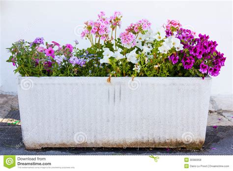 bloempot stock foto image  traditioneel griekenland