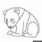 Panda Baby Coloring Pages Bear Pandas Drawing Printable Simple Cute Line Draw Kids Color Online Them Clipartbest Fresh Nice Gif sketch template