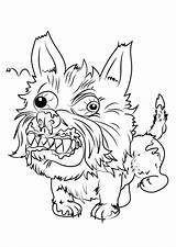 Ugglys Pet Snotty Drawingtutorials101 Schnauzer sketch template