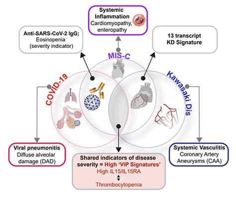 covid  mis   kawasaki disease share  immune response
