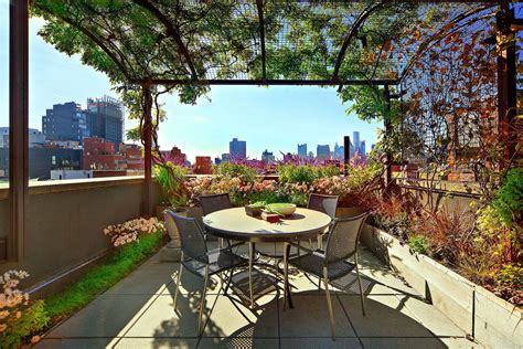 rooftop garden design ideas  tips pars diplomatic real estate