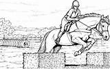 Pferde Ausmalen Cavallo Springen Pferdebilder Springreiten Kinderbilder Ostacoli Fantino Salta Arabo Puledro Stallone Innen Bildern Arabi Pferd Für 1597 sketch template