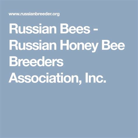 Russian Bees Russian Honey Bee Breeders Association Inc Russian