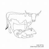 Cow Coloring Pages Longhorn Calf Cattle Color Printable Angus Texas Cows Drawing Beef Realistic Print Draw Line Getdrawings Brangus Popular sketch template
