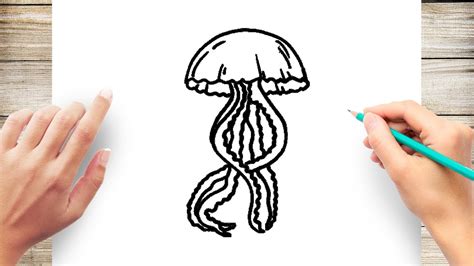 draw jellyfish youtube