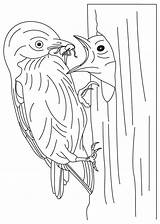 Bluebird Feeding sketch template