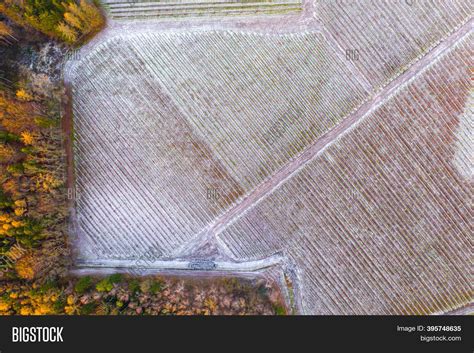 top view  field  image photo  trial bigstock