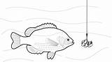 Bait Fish Fishing Clipart Lure Drawing Clip Sketch Getdrawings Beaded Live Hook Transparent Paintingvalley Webstockreview Collection sketch template