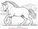 Coloring Horse Horses Pages Books Wonderful Book Clydesdale Productinfo Hoofprints sketch template
