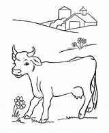 Coloring Cow Pages Printable Kids Animal Cows Color Dairy Book Colouring Farm sketch template