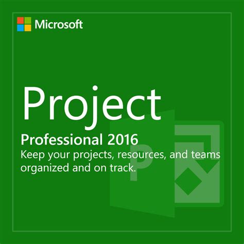 microsoft project professional  license  pc ms