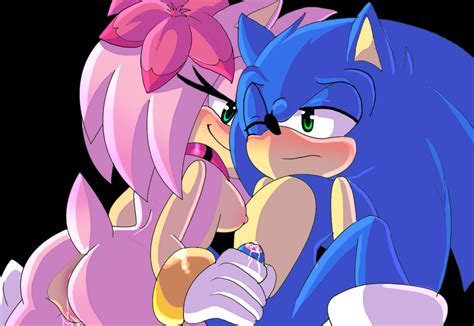 1528426 amy rose angelofhapiness sonic team sonic the hedgehog furries pictures pictures tag