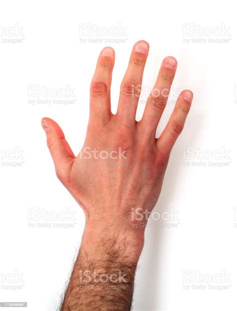 A Hairy Male Hand Showing Five Fingers Isolated On White Handground