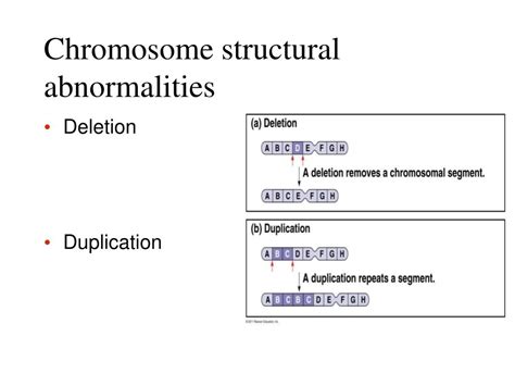 Ppt Chapter 15 – The Chromosomal Basis Of Inheritance Powerpoint
