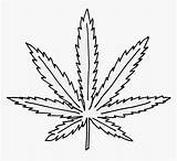 Weed Leaf Coloring Marijuana Hemp Drawing Pages Printable Clipart Cartoon Clipartmag Clipartkey Kindpng sketch template