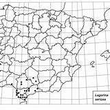 Locality Peninsula Iberian Map Sericea 1835 Waltl sketch template