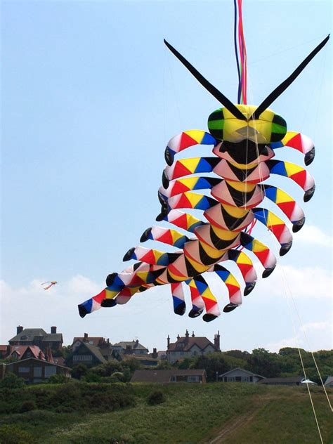 interesting      kites