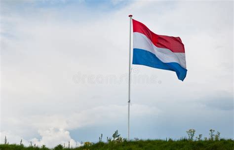 dutch national flag waving   wind stock photo image  outdoors landmark