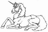 Coloring Unicorn Pegasus Pages Popular sketch template
