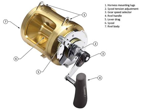 selecting  conventional fishing reel west marine