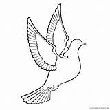 Dove Coloring4free Coloring Pages Printable Vector Freevectors Related Posts sketch template
