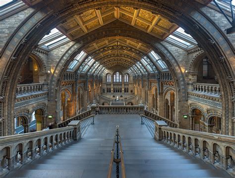 ten interesting facts  figures  londons natural history museum