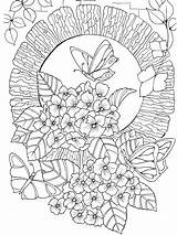 Therapy Mandala Coloring Pages Books Relaxation Relax Adult Colouring Drawing Color Book Flower Printable Colorare Da Butterfly Watercolor Print Colorarty sketch template
