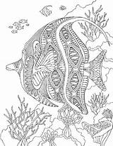 Angelfish Mandalas Erwachsene Zentangle Fisch Ausmalen Malen Páginas Adultos Italks Quallen Delfin Mangala Pinnwand Dificiles Verkauft Colorier Visit Turtle Laminas sketch template