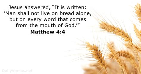 matthew  bible verse dailyversesnet