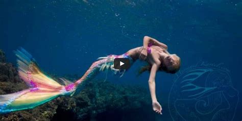mermaid fitness class lets     childhood fantasy huffpost