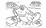 Frog Coloring Pages Tadpole Kids Frogs Cycle Life Leap Printable Drawing Poison Dart Toad Colouring Print Color Getdrawings Theme Getcolorings sketch template