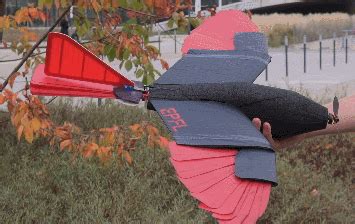 epfls raptor inspired drone  feathered wings tail raptor drone feathered