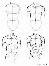 Body Drawing Male Desenho Draw Anatomy Tutoriais Humano Human Tutorial Humana Sketches Anatomia Torso Rostos Masculino Dibujos Corpo Para Lápis sketch template