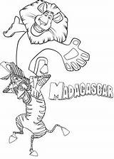 Madagascar Marty Coloring Pages Zebra Characters Cartoon sketch template