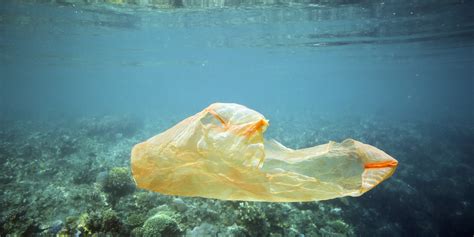 solve  plastic pollution problem  poverty    time huffpost