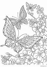 Papillons Antistress Coloriages Fleurs Colorier Adultes sketch template