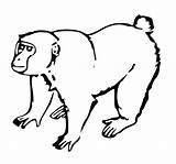 Monkey Clipart Hanging Cliparts Coloring Outline Pages Clip Silhouette Animal Wikiclipart Arts Smiling Favorites Add Getdrawings Library Getcolorings Recent sketch template