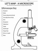 Microscope Compound sketch template