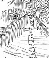 Coloring Pages Beach Adult Palm Tree Trees Embroidery Pdf Adults Sunset Drawing Color Etsy Pattern Tropical Scene Printable Colouring Beeth sketch template