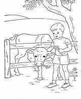 Coloring Boys Pages Kids Cow Boy Feeding Sheets Printable Activity Book Colouring Farm Activities Young Embroidery Cows Hand Other Bluebonkers sketch template
