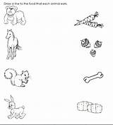 Animals Food Worksheets Match Animal Their Preschool Kids Matching Printable Worksheet Kindergarten Easy Activity Coloring Toddler Activities Pages Comment First sketch template