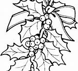 Mistletoe Coloring sketch template
