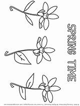 Coloring Spring Pages Print Springtime Flowers Kids Printable Flower Color April Activity During Easy Fun Showers May Bring Flowers1 Book sketch template