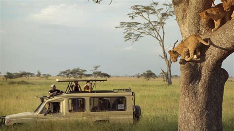 nostri safari amico kenya  safari