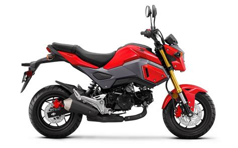 honda grom  pictures motorcycle news updates