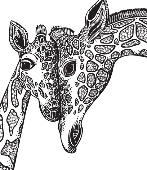 pin  tabatha rogers  giraffe coloring pages giraffe coloring