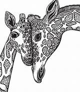 Coloring Pages Giraffe Printable Adult Exotic Colorear Para Animal Pursuits Creative Color Colouring Adults Jirafa Mandalas Animales Book Dibujos Animals sketch template
