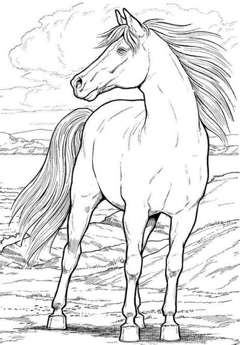 horse coloring pages dover coloring pages coloring pages  print