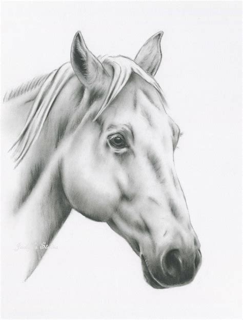 originele tekening van de houtskool paard    etsy